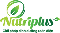 nutriplusvietnam 